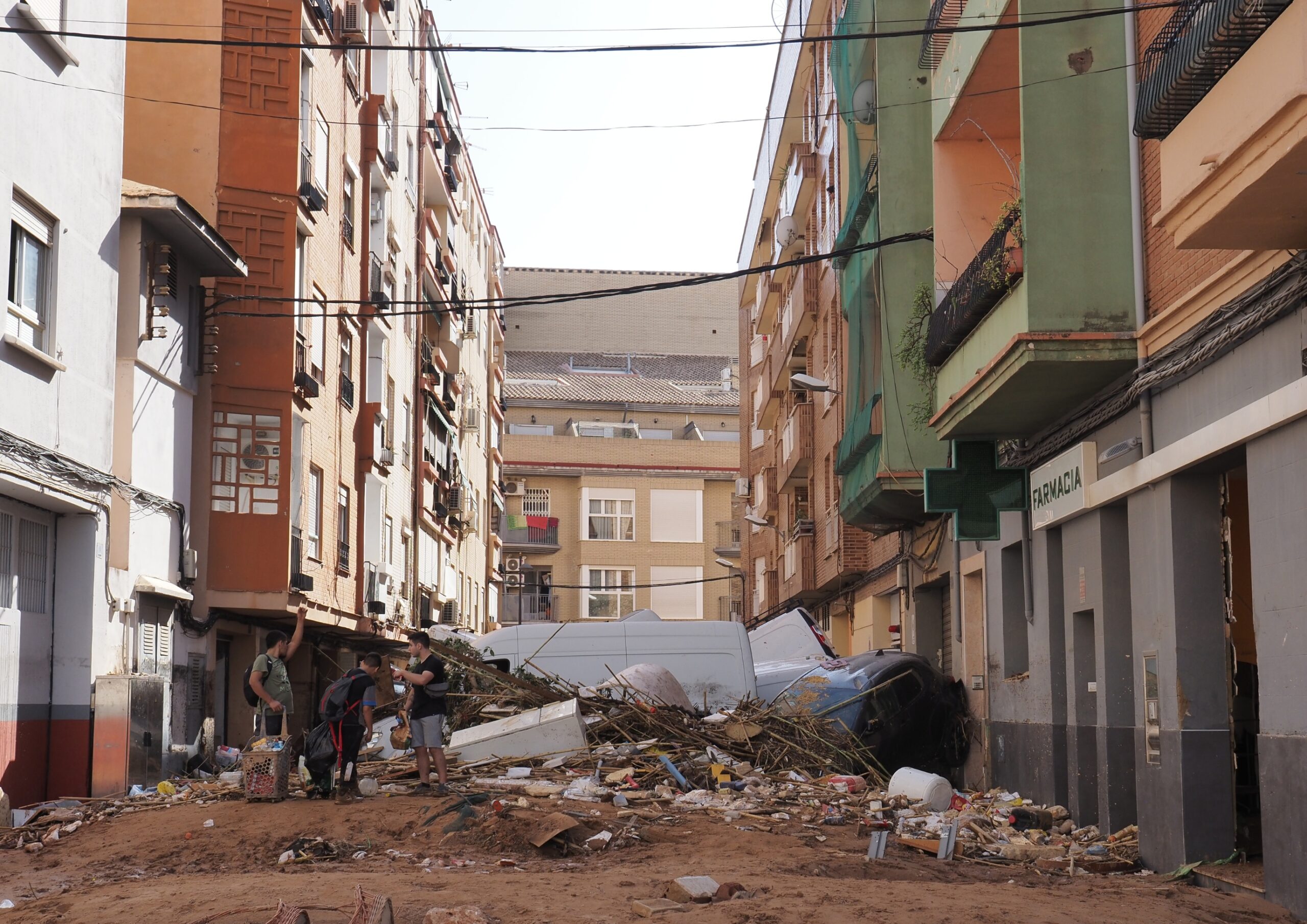 Día Mundial del Suelo – El papel de la microbiota en el lodo de Valencia tras la DANA