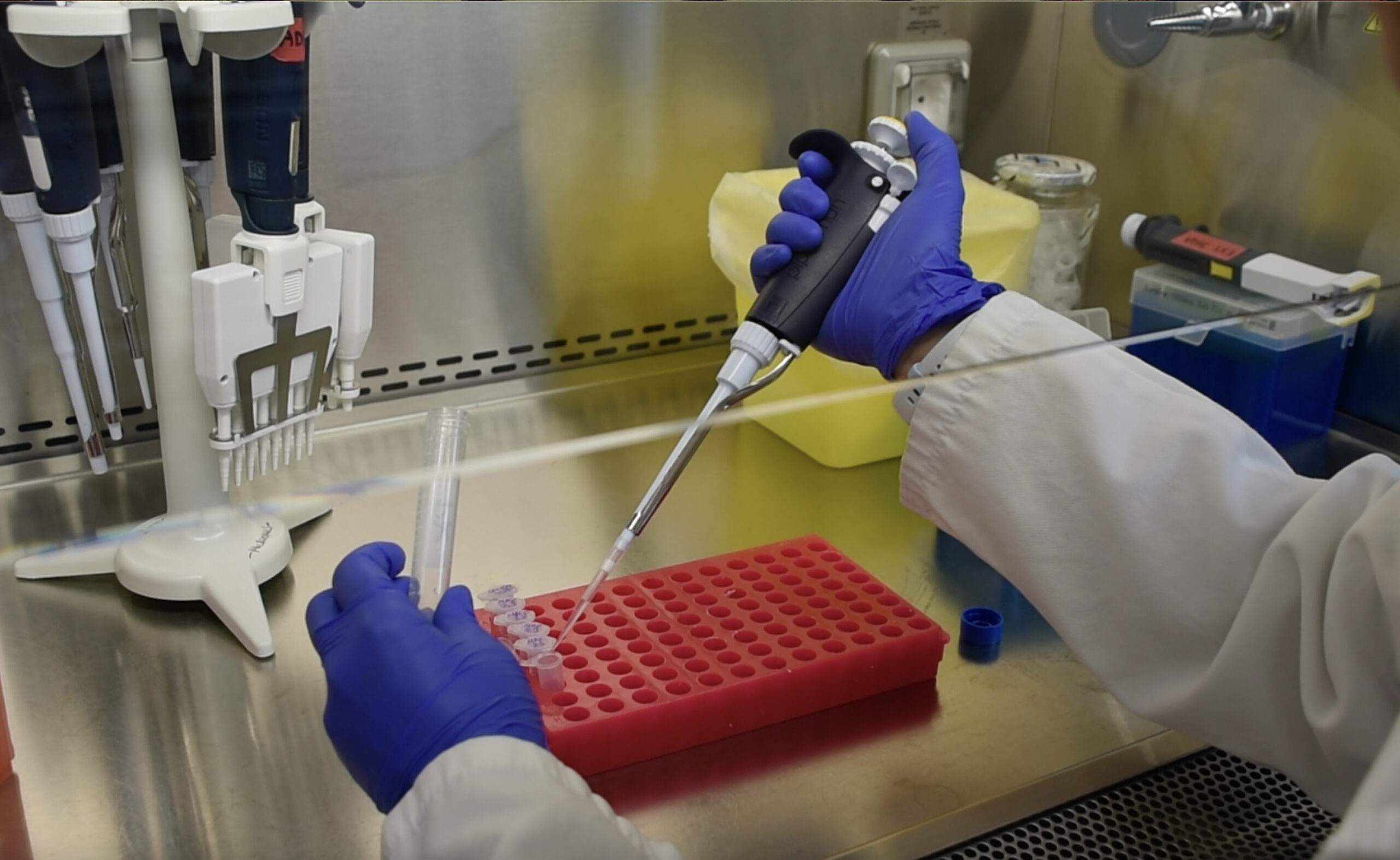 16 junio: Día Internacional de la Biotecnología