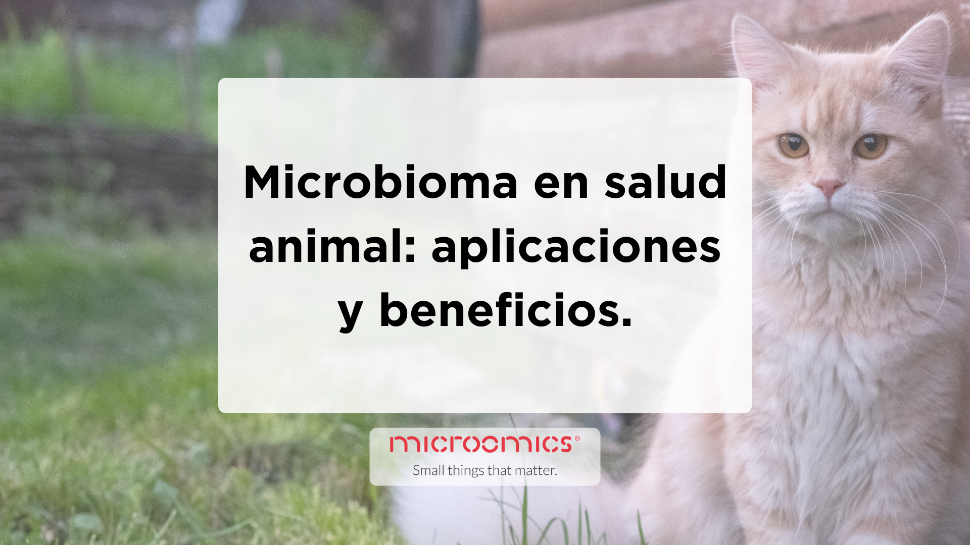 Microbioma en salud animal: aplicaciones y beneficios