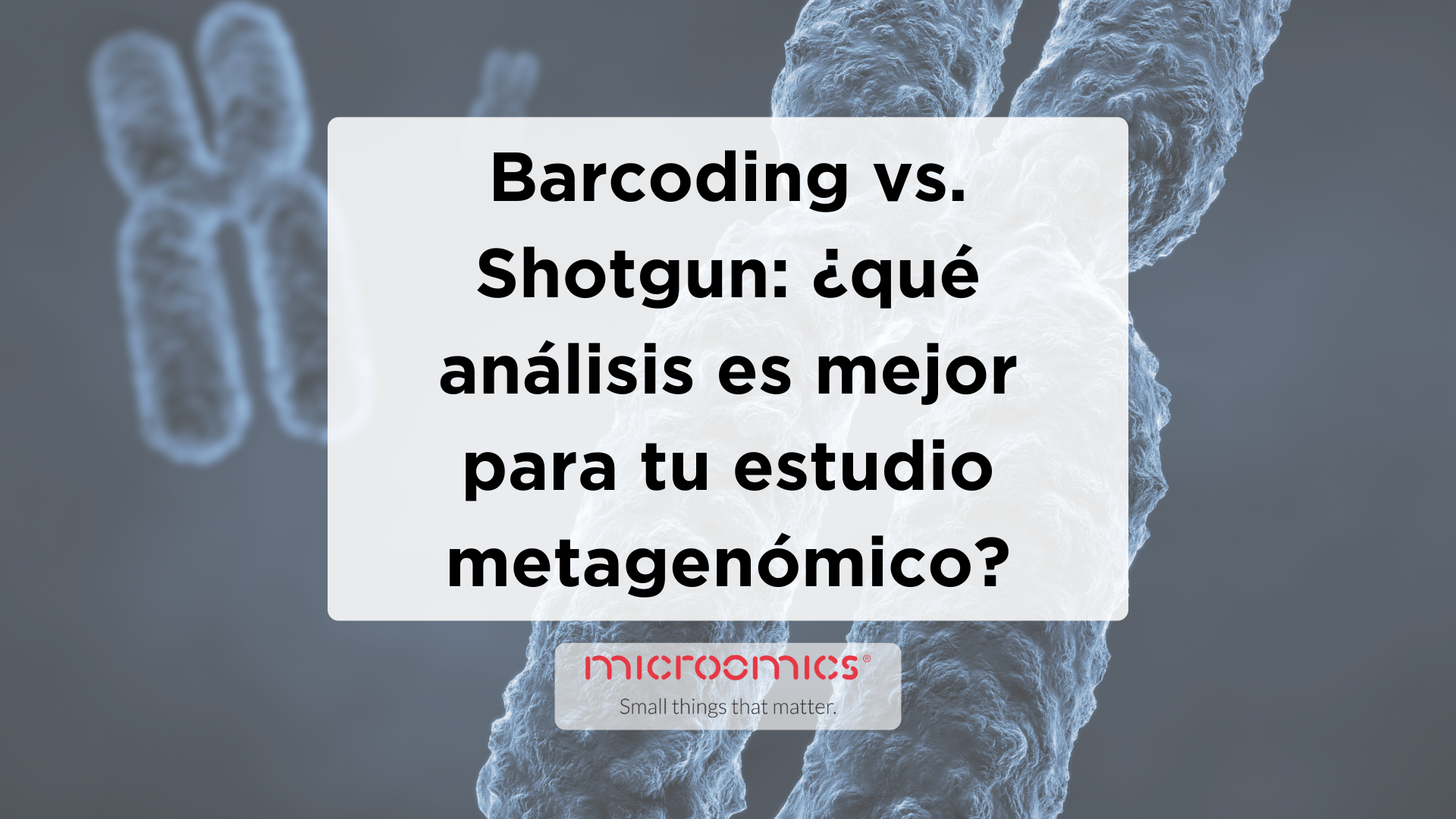 Barcoding vs. Shotgun: ¿qué análisis es mejor para tu estudio metagenómico?